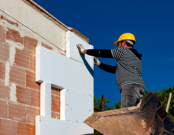 Best Insulation Maintenance and Repair in Victoria, VA