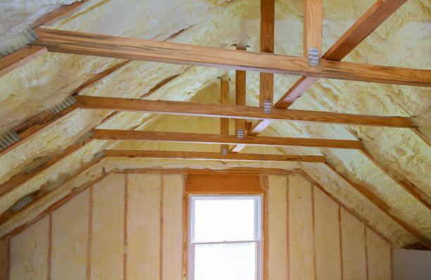 Best Specialized Insulation Services in Victoria, VA