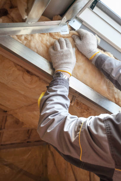 Best Spray Foam Insulation in Victoria, VA