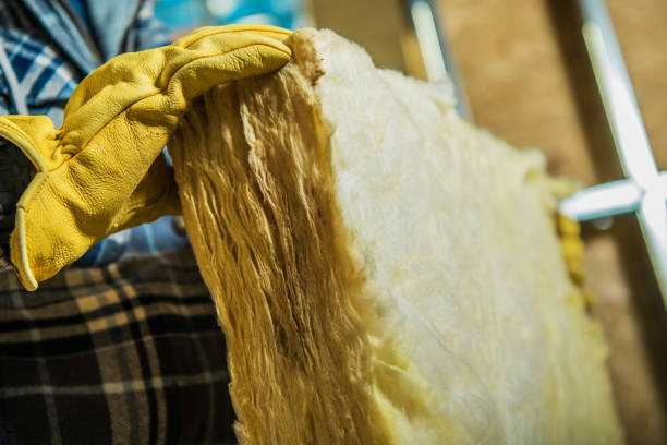 Best Specialized Insulation Services in Victoria, VA