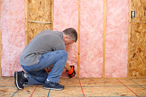 Best Cellulose Insulation in Victoria, VA