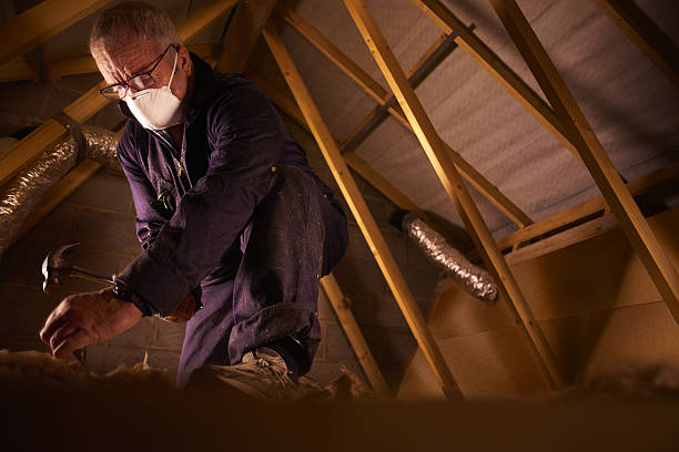 Types of Insulation We Offer in Victoria, VA