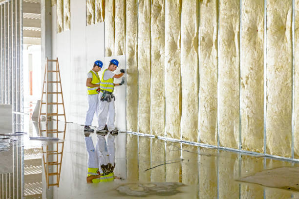 Best Spray Foam Insulation in Victoria, VA